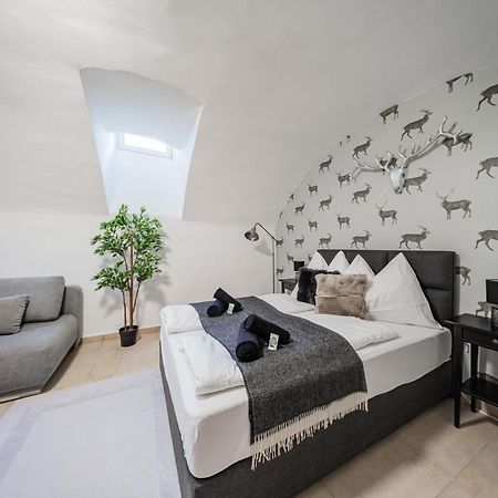 Cozy Flat near City Center - Souterrain - Limited Free Parking Innsbruck Zewnętrze zdjęcie