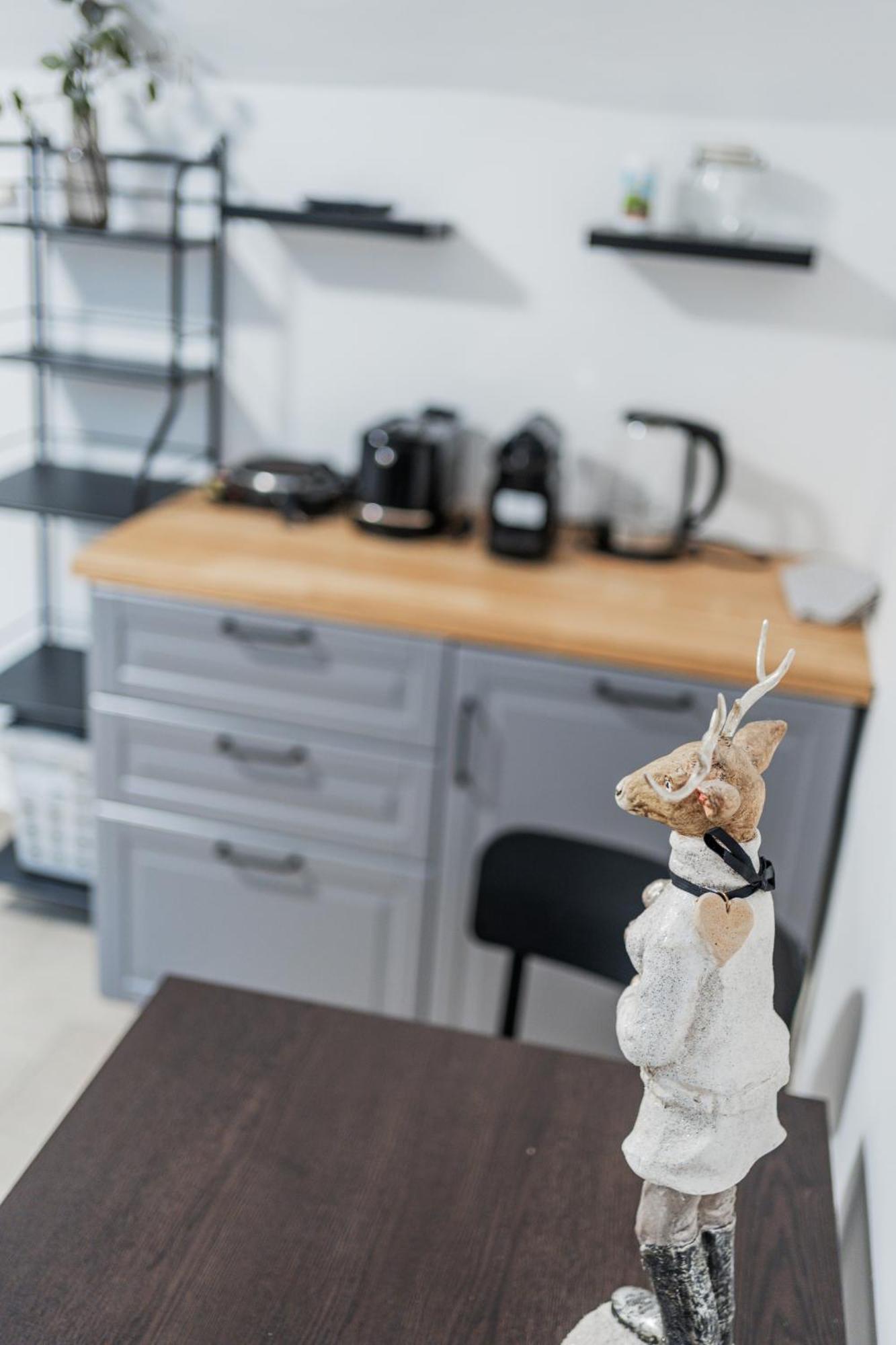Cozy Flat near City Center - Souterrain - Limited Free Parking Innsbruck Zewnętrze zdjęcie