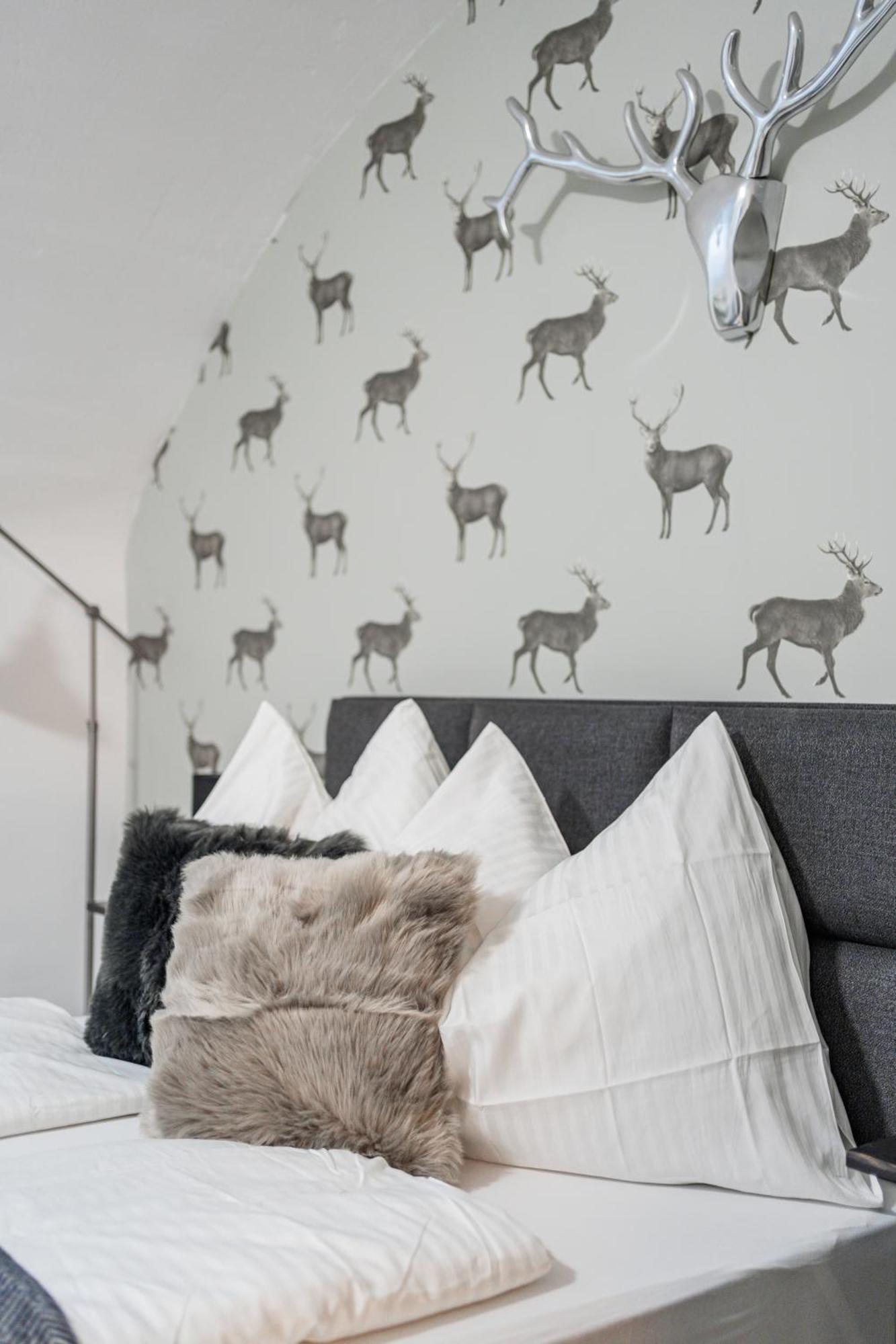 Cozy Flat near City Center - Souterrain - Limited Free Parking Innsbruck Zewnętrze zdjęcie
