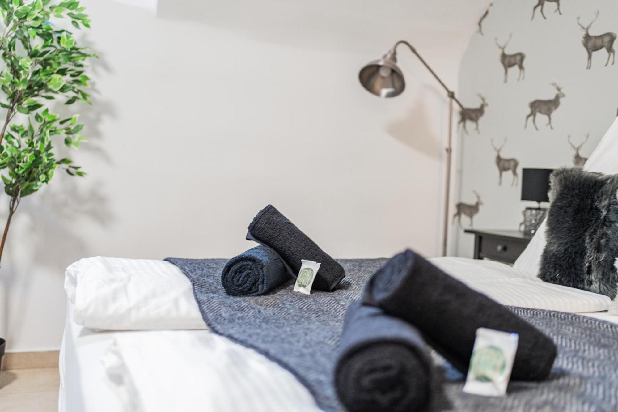 Cozy Flat near City Center - Souterrain - Limited Free Parking Innsbruck Zewnętrze zdjęcie