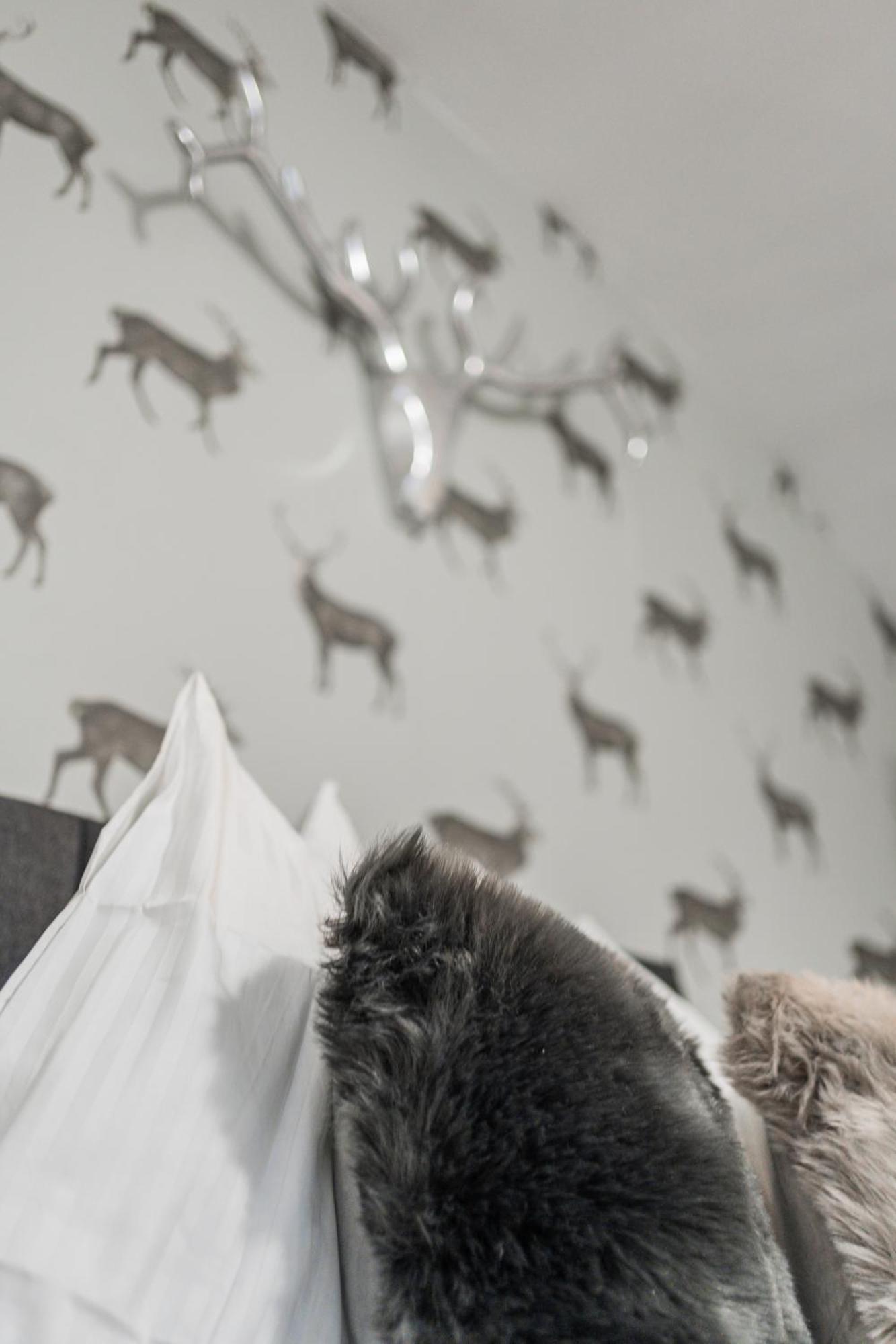 Cozy Flat near City Center - Souterrain - Limited Free Parking Innsbruck Zewnętrze zdjęcie