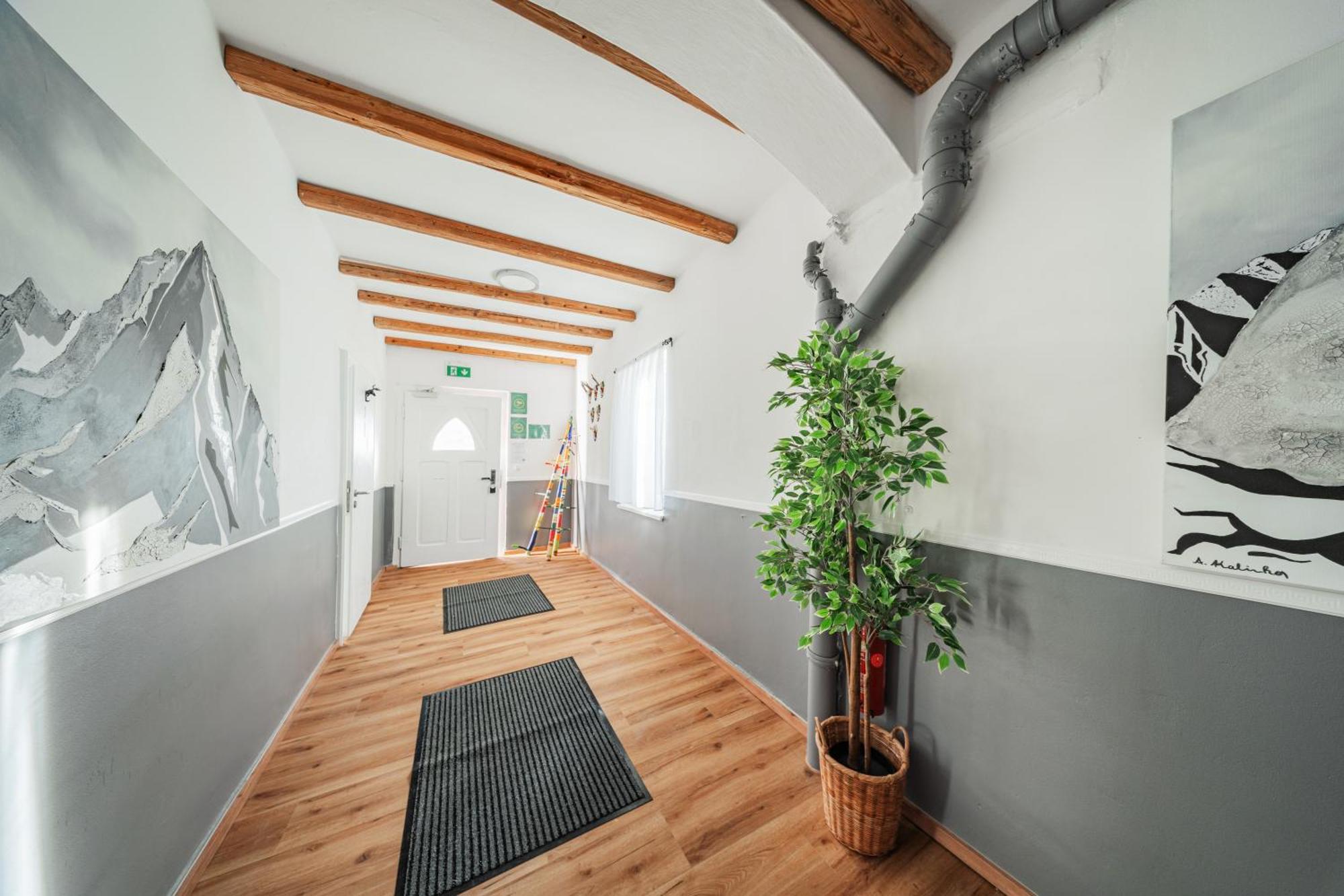 Cozy Flat near City Center - Souterrain - Limited Free Parking Innsbruck Zewnętrze zdjęcie