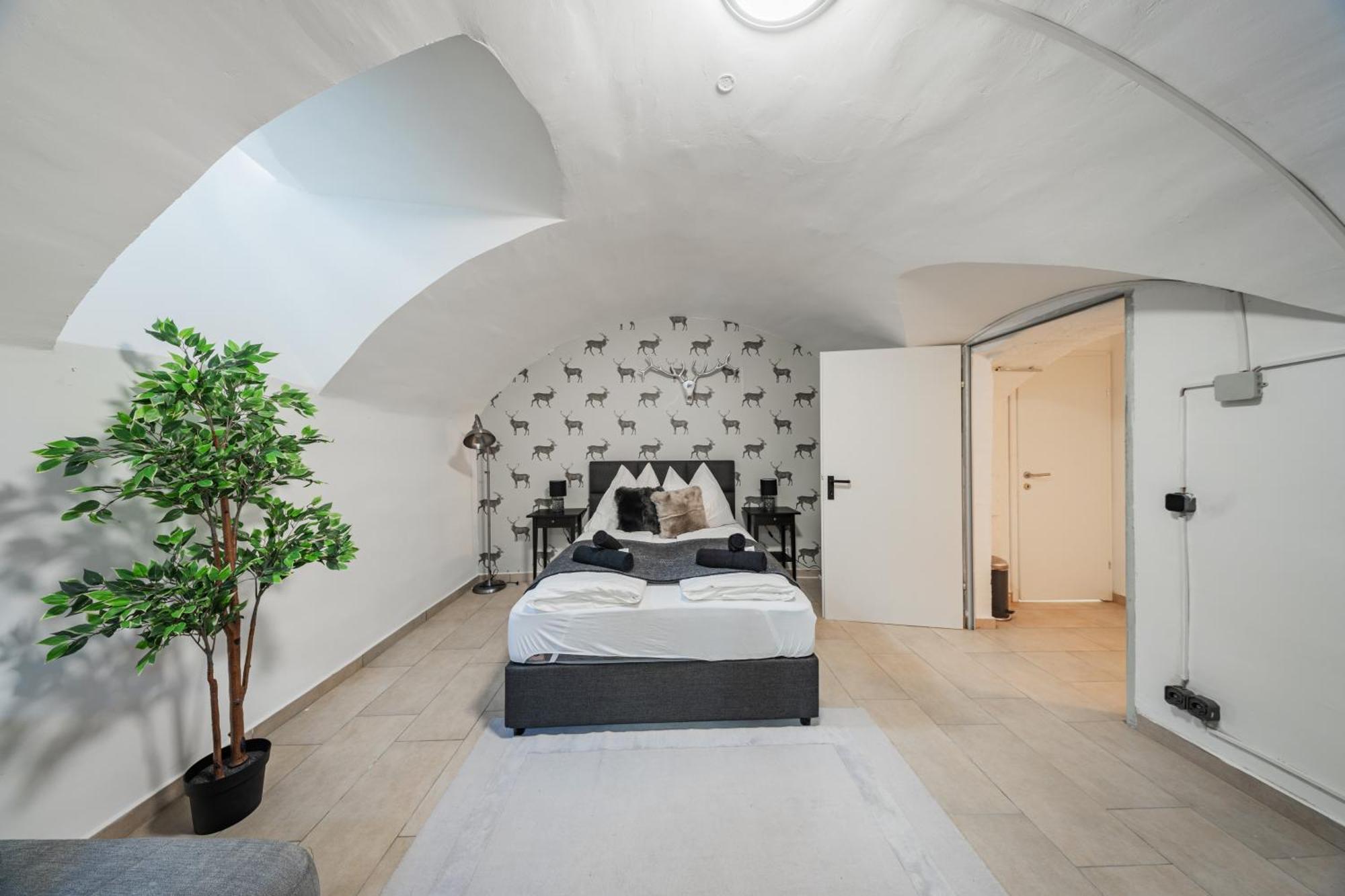 Cozy Flat near City Center - Souterrain - Limited Free Parking Innsbruck Zewnętrze zdjęcie
