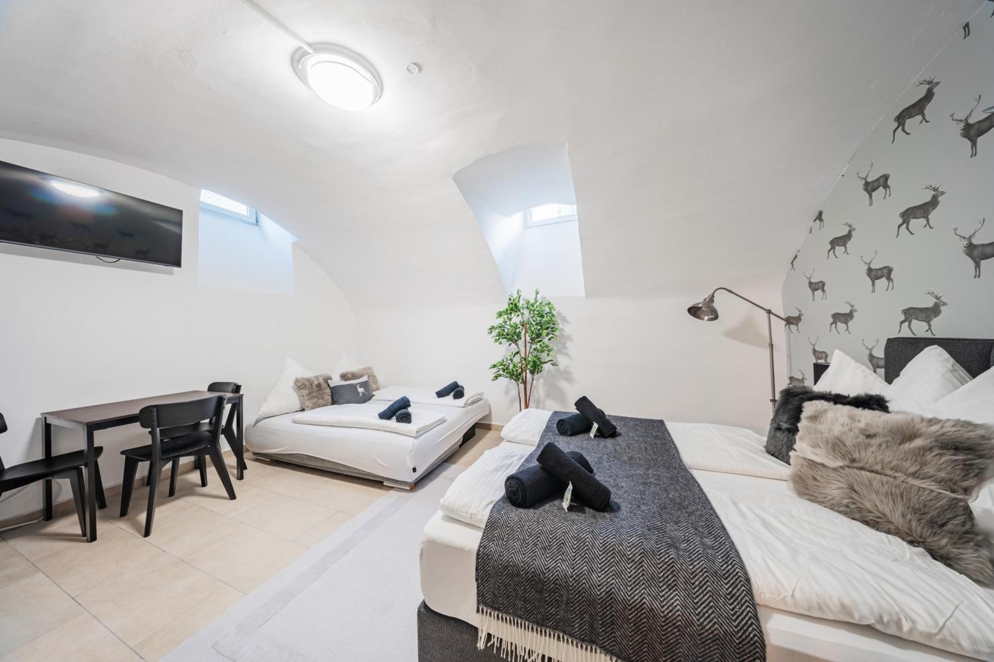 Cozy Flat near City Center - Souterrain - Limited Free Parking Innsbruck Zewnętrze zdjęcie