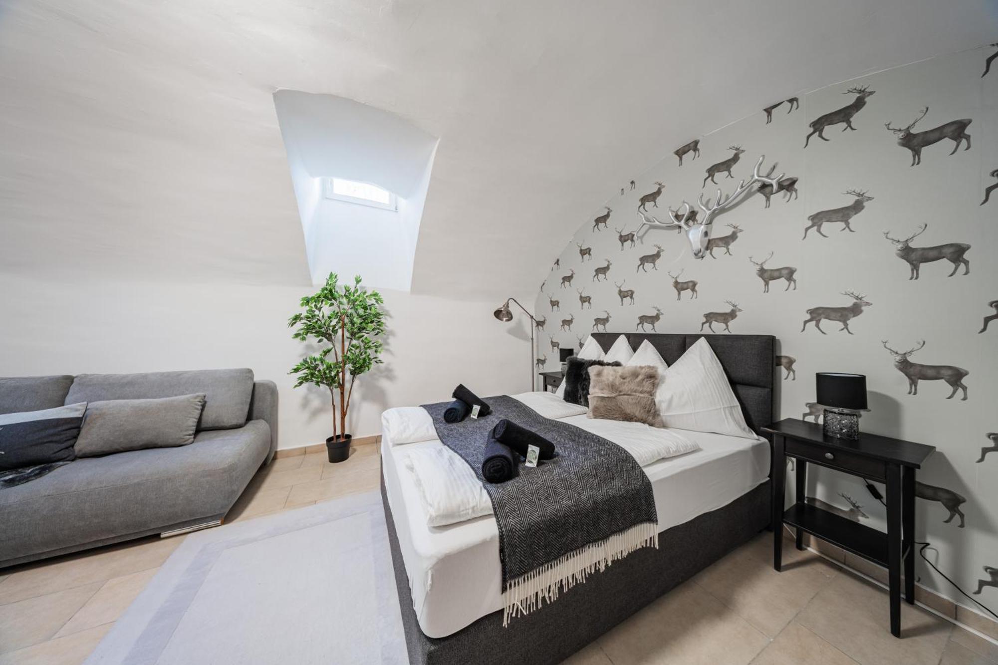 Cozy Flat near City Center - Souterrain - Limited Free Parking Innsbruck Zewnętrze zdjęcie